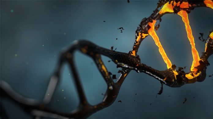 CRISPR used in the treatment of cancer in the United