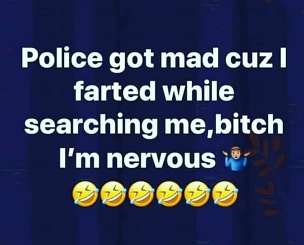 Crazy police reports