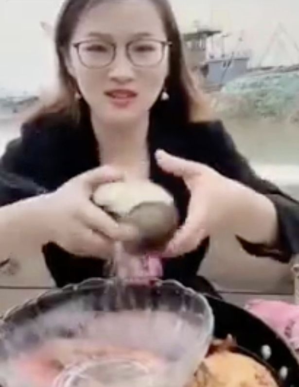 tastes bizarre newly discovered penis shaped clam 2
