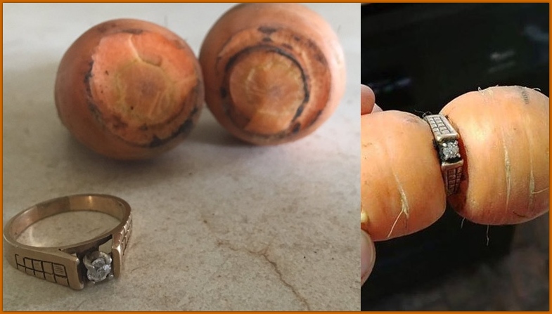 Woman finds diamond ring on carrot in garden